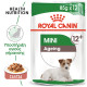 ROYAL CANIN MINI AGEING 12X