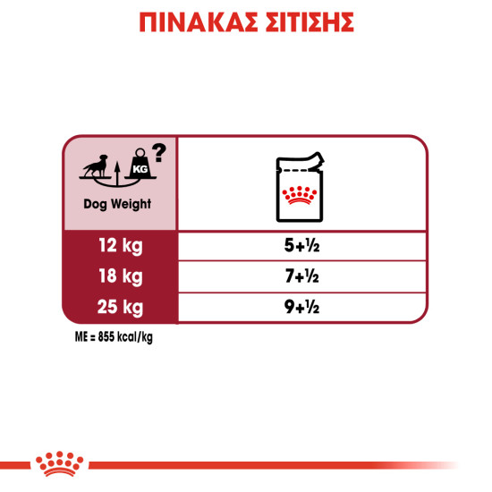 ROYAL CANIN MEDIUM ADULT 10X