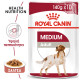 ROYAL CANIN MEDIUM ADULT 10X