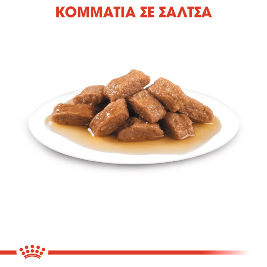ROYAL CANIN MEDIUM AGEING 10X