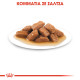 ROYAL CANIN MEDIUM AGEING 10X
