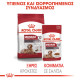ROYAL CANIN MEDIUM AGEING 10X