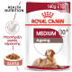 ROYAL CANIN MEDIUM AGEING 10X