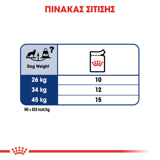 ROYAL CANIN MAXI ADULT 10X