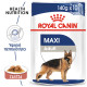 ROYAL CANIN MAXI ADULT 10X