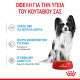 ROYAL CANIN SMALL PUPPY 4X ROYAL CANIN SMALL PUPPY 4X