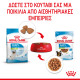 ROYAL CANIN SMALL PUPPY 4X ROYAL CANIN SMALL PUPPY 4X