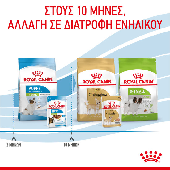 ROYAL CANIN SMALL PUPPY 4X ROYAL CANIN SMALL PUPPY 4X