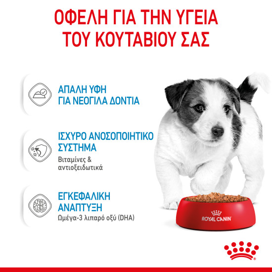ROYAL CANIN SMALL PUPPY 12X ROYAL CANIN SMALL PUPPY 12X