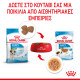 ROYAL CANIN SMALL PUPPY 12X ROYAL CANIN SMALL PUPPY 12X