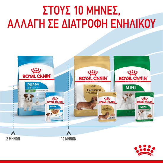 ROYAL CANIN SMALL PUPPY 12X ROYAL CANIN SMALL PUPPY 12X