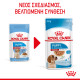 ROYAL CANIN MEDIUM PUPPY 10X