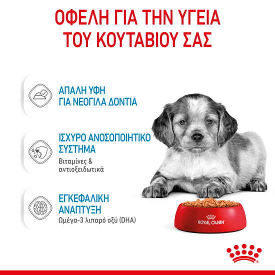 ROYAL CANIN MEDIUM PUPPY 10X