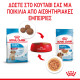 ROYAL CANIN MEDIUM PUPPY 10X