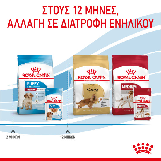 ROYAL CANIN MEDIUM PUPPY 10X