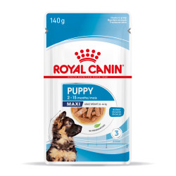 ROYAL CANIN MAXI PUPPY 10X