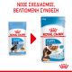 ROYAL CANIN MAXI PUPPY 10X ROYAL CANIN MAXI PUPPY 10X