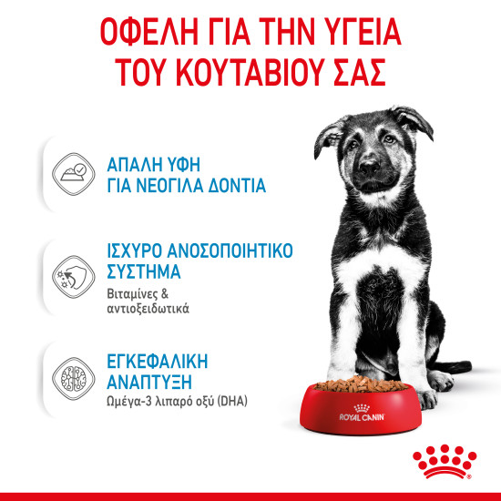 ROYAL CANIN MAXI PUPPY 10X ROYAL CANIN MAXI PUPPY 10X