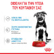 ROYAL CANIN MAXI PUPPY 10X ROYAL CANIN MAXI PUPPY 10X