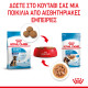 ROYAL CANIN MAXI PUPPY 10X ROYAL CANIN MAXI PUPPY 10X
