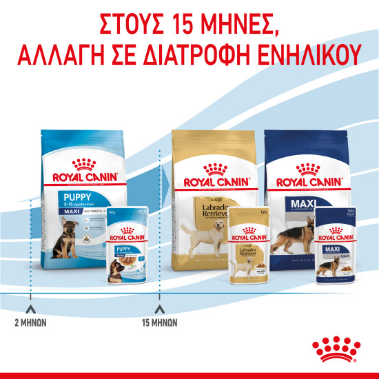ROYAL CANIN MAXI PUPPY 10X ROYAL CANIN MAXI PUPPY 10X