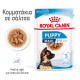 ROYAL CANIN MAXI PUPPY 10X ROYAL CANIN MAXI PUPPY 10X