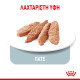 ROYAL CANIN LIGHT WEIGHT CARE LOAF 12X