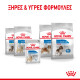 ROYAL CANIN LIGHT WEIGHT CARE LOAF 12X