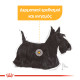 ROYAL CANIN DERMACOMFORT CARE LOAF 12X ROYAL CANIN DERMACOMFORT CARE LOAF 12X