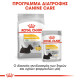 ROYAL CANIN DERMACOMFORT CARE LOAF 12X ROYAL CANIN DERMACOMFORT CARE LOAF 12X