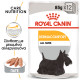 ROYAL CANIN DERMACOMFORT CARE LOAF 12X ROYAL CANIN DERMACOMFORT CARE LOAF 12X