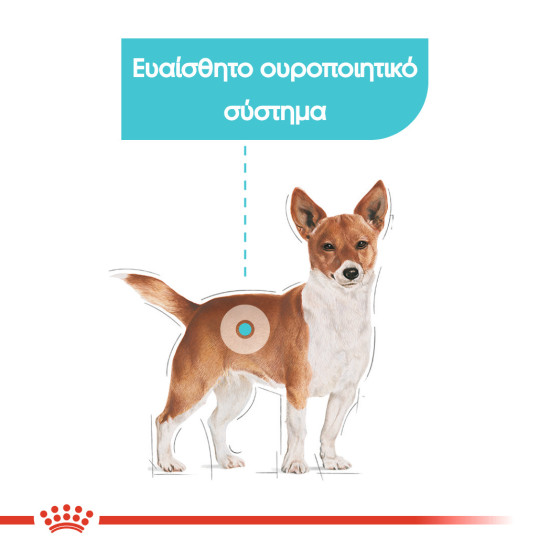 ROYAL CANIN URINARY CARE LOAF 12X ROYAL CANIN URINARY CARE LOAF 12X