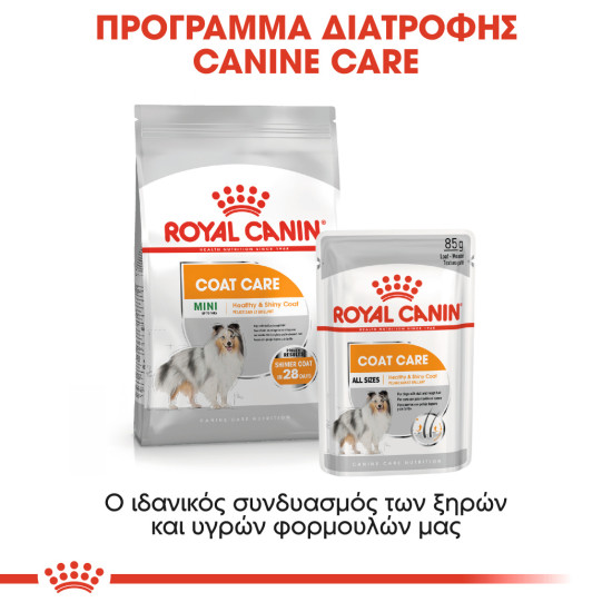 ROYAL CANIN COAT BEAUTY CARE LOAF 12X ROYAL CANIN COAT BEAUTY CARE LOAF 12X