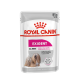 ROYAL CANIN EXIGENT CARE LOAF 12X ROYAL CANIN EXIGENT CARE LOAF 12X