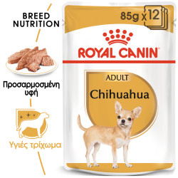 ROYAL CANIN CHIHUAHUA WET 12X