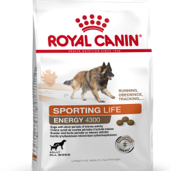 ROYAL CANIN SPORT LIFE TRAIL 4300