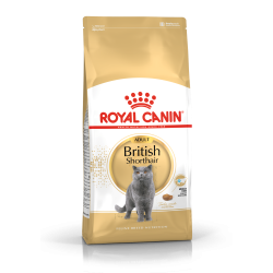 ROYAL CANIN BRITISH SHORTHAIR