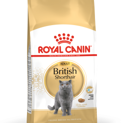 ROYAL CANIN BRITISH SHORTHAIR
