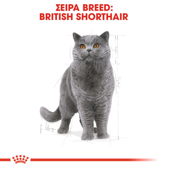 ROYAL CANIN BRITISH SHORTHAIR