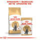 ROYAL CANIN BRITISH SHORTHAIR