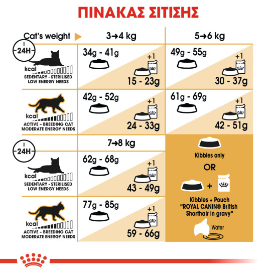ROYAL CANIN BRITISH SHORTHAIR