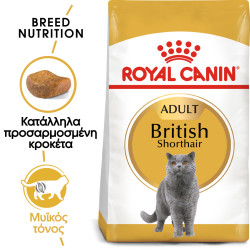 ROYAL CANIN BRITISH SHORTHAIR
