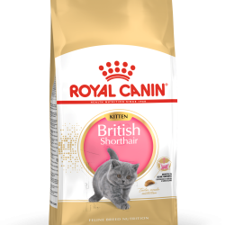 ROYAL CANIN KITTEN BRITISH SHORTHAIR
