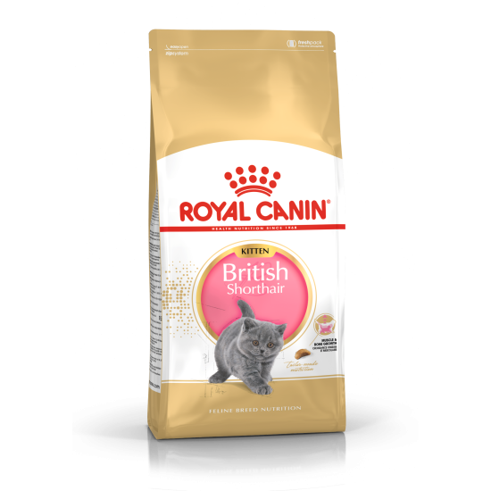 ROYAL CANIN KITTEN BRITISH SHORTHAIR