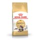 ROYAL CANIN MAINECOON