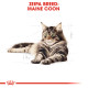 ROYAL CANIN MAINECOON