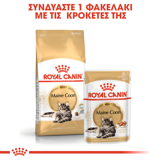 ROYAL CANIN MAINECOON