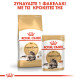 ROYAL CANIN MAINECOON