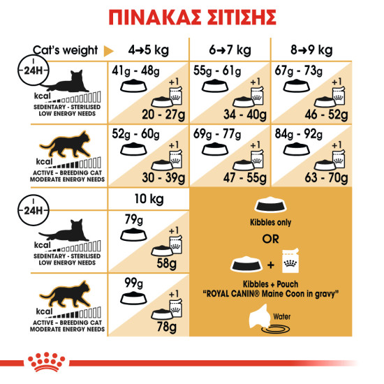 ROYAL CANIN MAINECOON