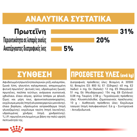 ROYAL CANIN MAINECOON